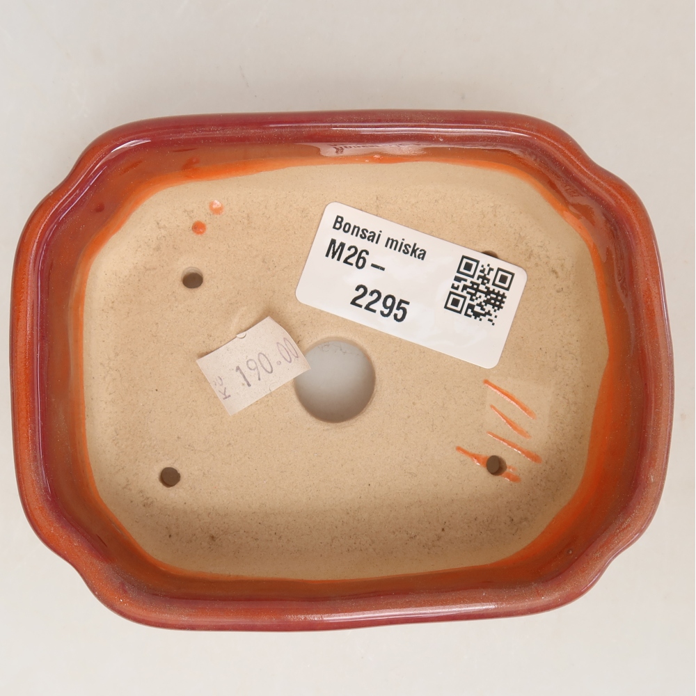 Pot à bonsaï en céramique 10,5 x 8 x 4 cm, couleur orange
