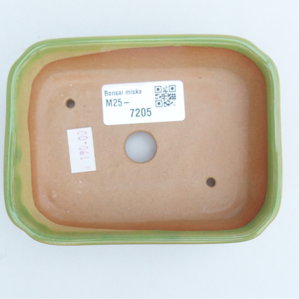Bol à bonsaï en céramique 12 x 9 x 3 cm, vert