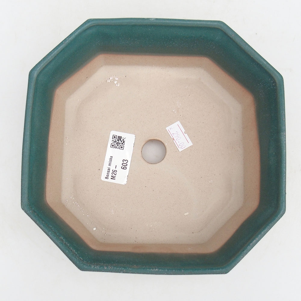 Bol à bonsaï en céramique 17,5 x 17,5 x 6 cm, couleur bleu