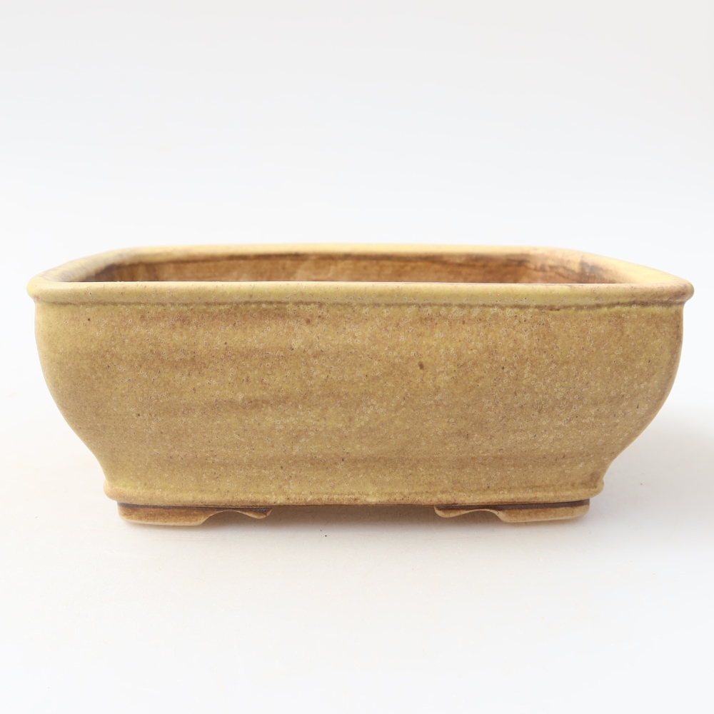 Pot à bonsaï en céramique 15 x 12,5 x 5,5 cm, couleur jaune