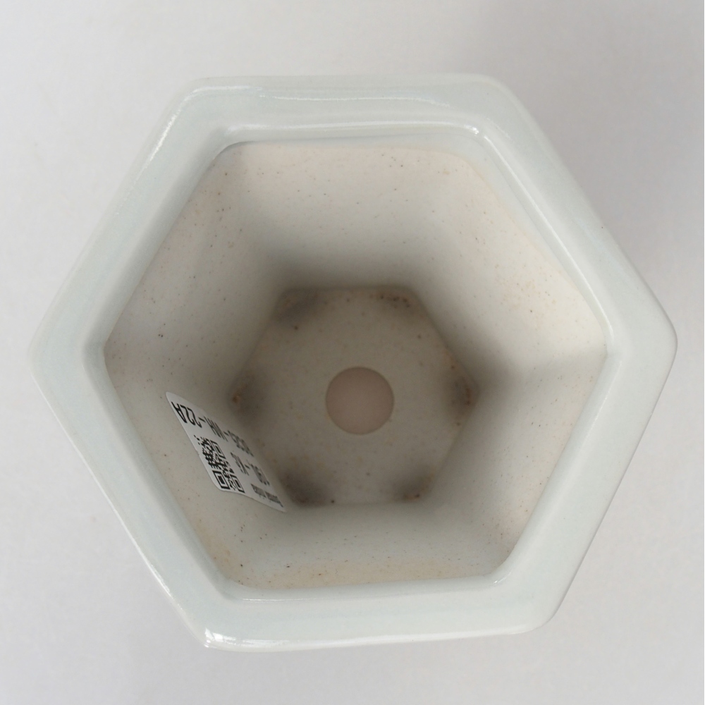 Bol à bonsaï en céramique 10 x 9 x 9 cm, couleur blanc