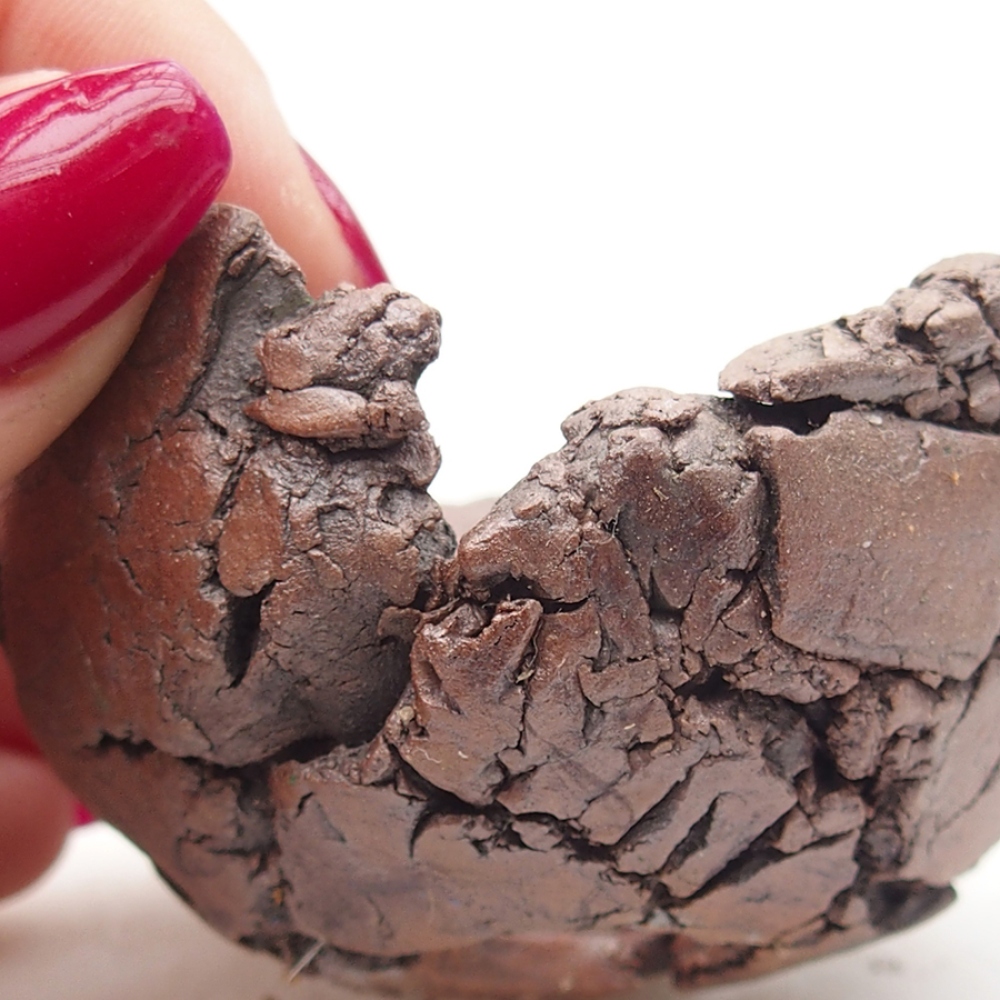 Coquille en céramique 6 x 6 x 4 cm , couleur marron