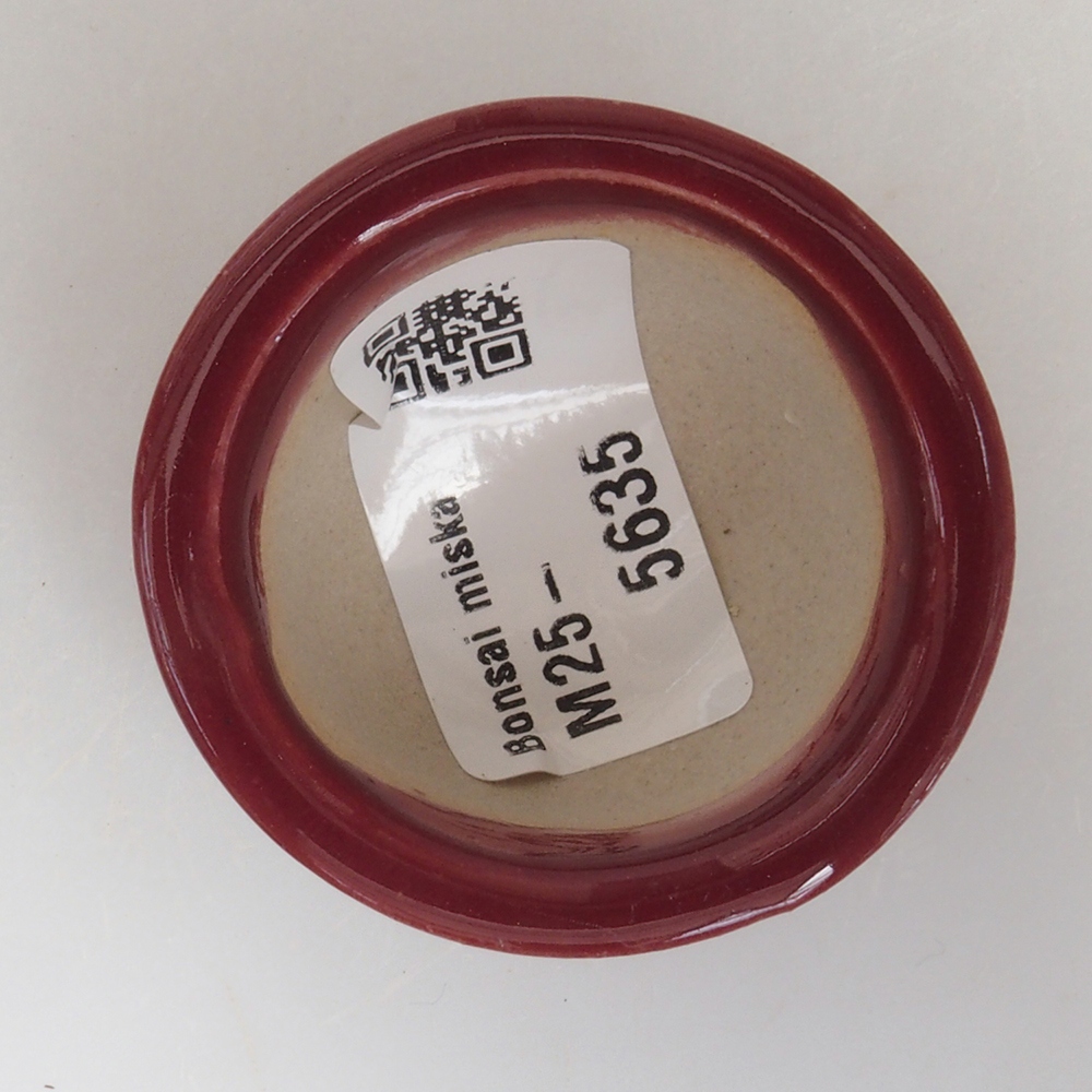 Mini bol bonsaï 4,5 x 4,5 x 2,5 cm, bordeaux