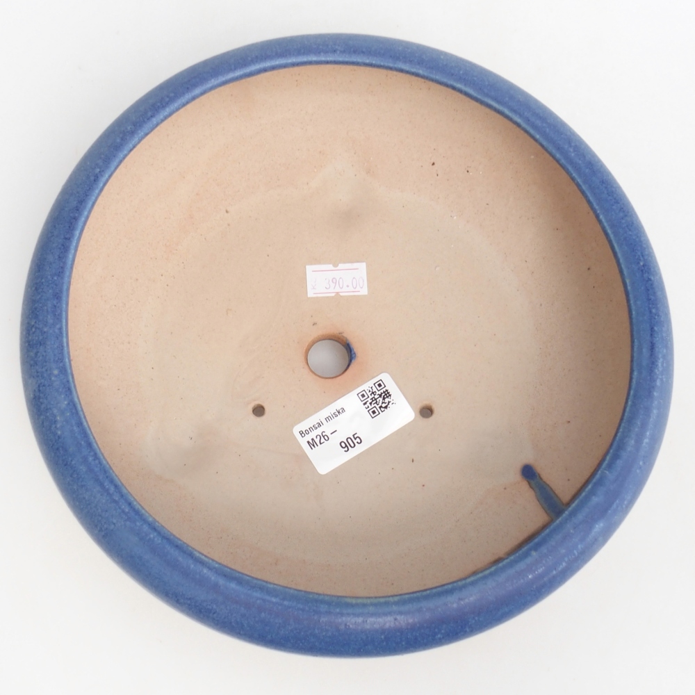 Bol à bonsaï en céramique 21 x 21 x 7 cm, couleur bleu